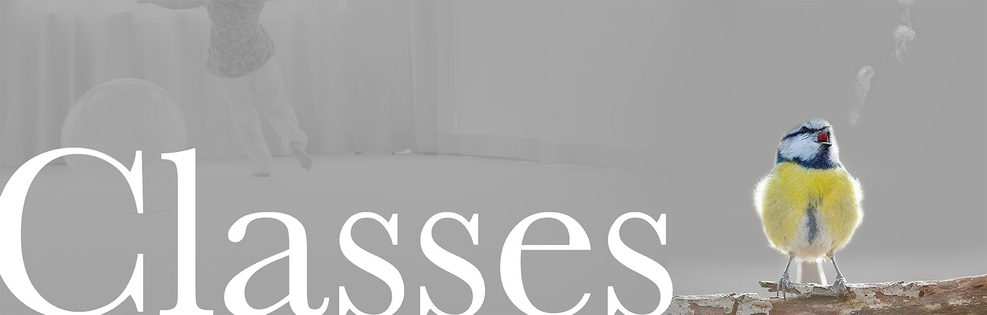 Vocal Coaching Classes with Regan O'Brien