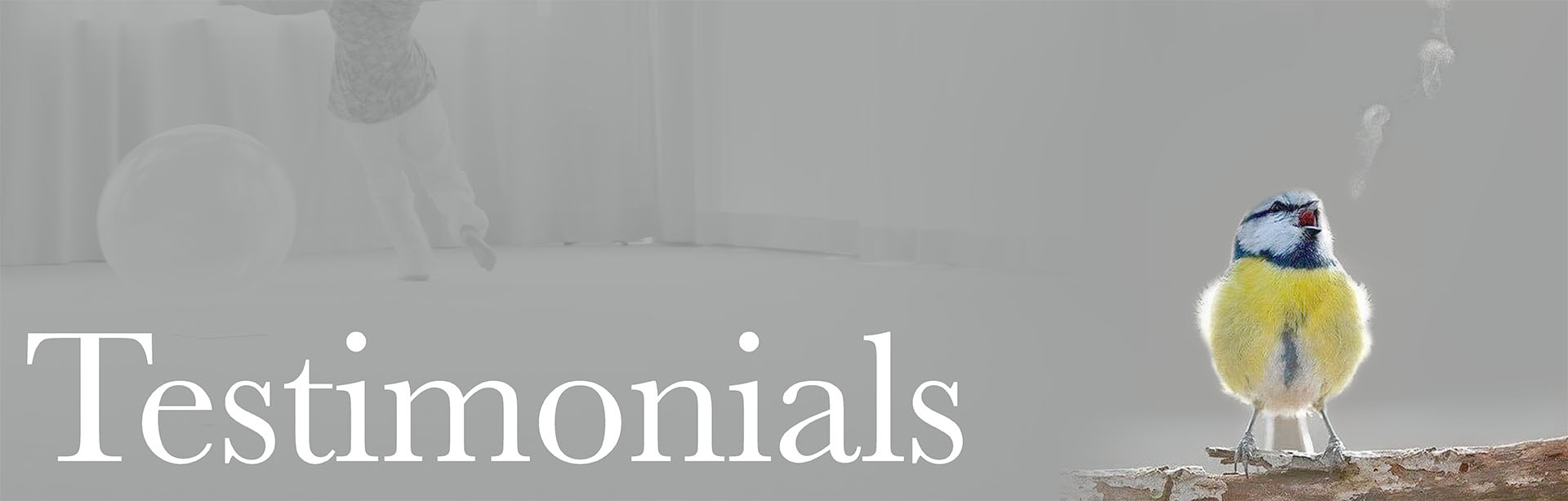 Vocal Coaching Classes with Regan O'Brien